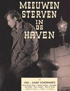 Чайки умирают в гавани