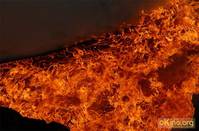 Кадр Александр. Невская битва