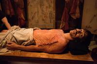 Кадр Бивень