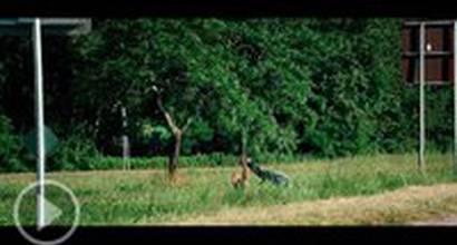 Фрагмент №3