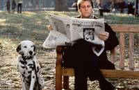 Кадр 101 далматинец