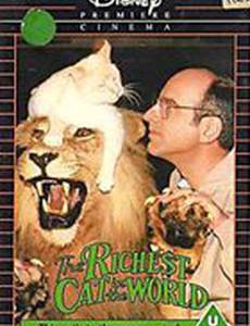 Самая богатая в мире кошка