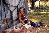 Кадр Мой пёс Скип