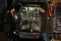 Кадр Как я встретил вашу маму