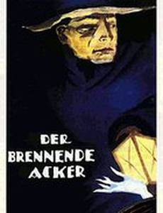 Горящее поле