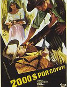 Две тысячи долларов за Койота