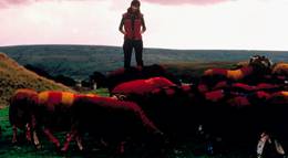 Кадр из фильма "Английский цирюльник" - 2