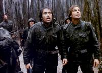 Кадр Южное гостеприимство