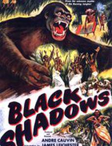 L'Équateur aux cent visages