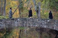 Кадр Унижение