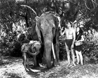 Кадр Тарзан находит сына