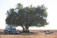 Кадр Долгая дорога к свободе