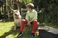 Кадр Мистер Гафф