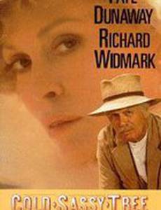 Жестокий город