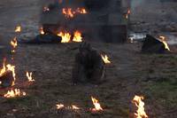 Кадр Белый тигр