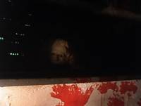 Кадр Существо в корзине