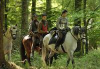 Кадр Мерлин