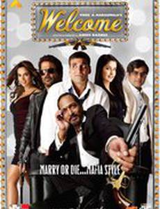 Добро пожаловать