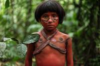 Кадр Зеленый ад