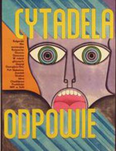 «Цитадель» ответила