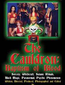 Котёл: Крещение кровью (видео)