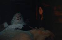 Кадр И на камнях растут деревья