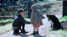 Кадр из фильма "Дети из Бюллербю" - 2