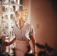 Кадр The Sharkfighters