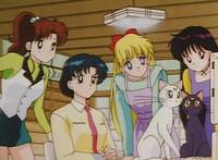 Кадр Красавица-воин Сейлор Мун Эр