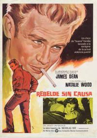 Постер Бунтарь без идеала