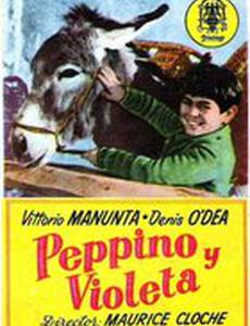 Peppino e Violetta