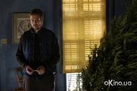 Кадр Любовная лихорадка