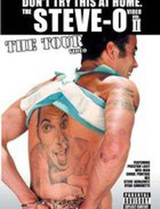 Don't Try This at Home: The Tour (видео)