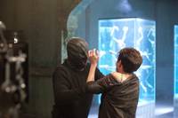 Кадр Коллекционер 2