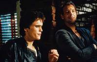 Кадр Бойцовая рыбка