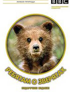 BBC: Ребятам о зверятах