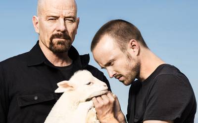 5 возможных спин-оффов для «Во все тяжкие»