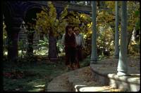 Кадр Властелин колец: Братство кольца