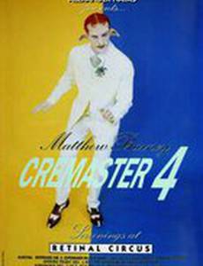 Кремастер 4