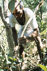 Кадр Искусство жизни