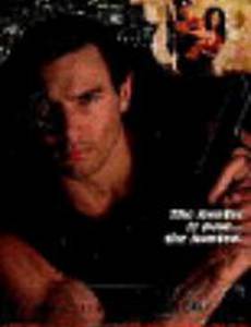 Стрелок (видео)