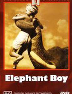 Маленький погонщик слонов