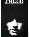 Постер из фильма "Фрейд: Тайная страсть" - 1