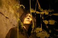 Кадр Выживут только любовники