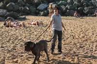 Кадр Моя собака Идиот