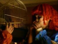 Кадр К.Г.П.О. 2