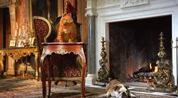 Кадр из фильма "Гарфилд 2: История двух кошечек" - 1