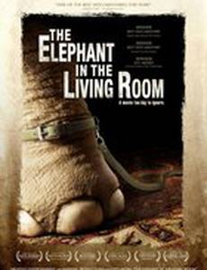 The Elephant in the Living Room