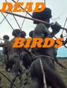 Мертвые птицы