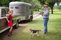 Кадр Красотки в бегах